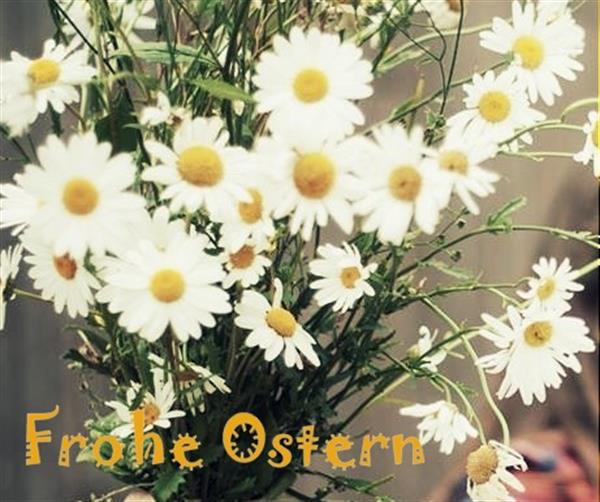 ostern_insekten_fruehling